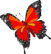 Motyle - Motyle 025.gif