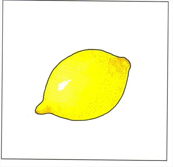 Owoce - cytryna.jpg
