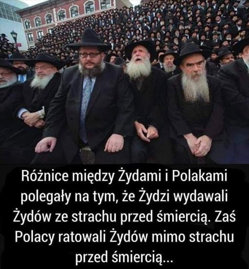 Jedwabne - Różnica między żydem a Polakiem.jpg