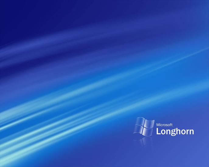 Windowsowe - Longhorn M5 Bliss 2.jpg