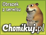 CHOINKI BEZ OZDÓB - choinka.png