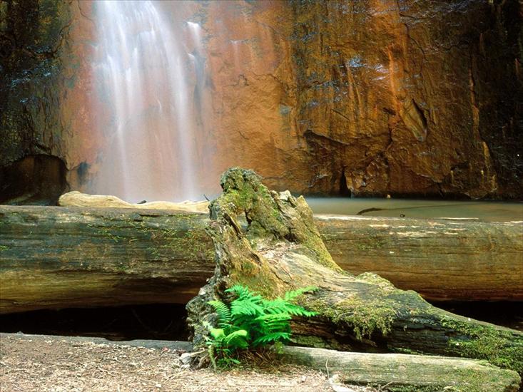 Galeria - Berry Creek Falls, Big Basin Redwoods State Park, California.jpg