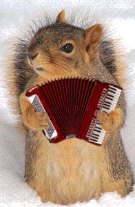 Gify-muzyczne - muzyczne akordeonista  chomik akordeonista.gif